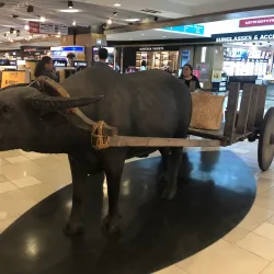 Guam International Airport - Barrigada