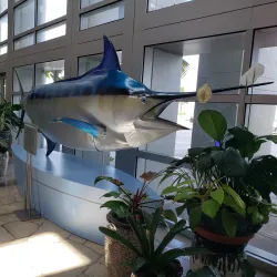 Guam International Airport - Barrigada