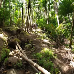 Hiking Trails - Chalan Pago