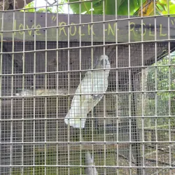 Guam Zoo - Dededo
