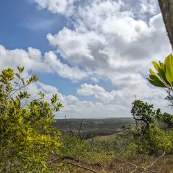 Tarzan Falls - Dededo