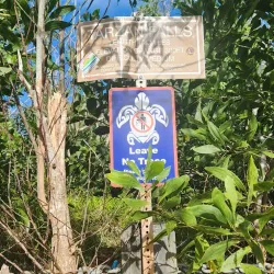 Tarzan Falls - Dededo