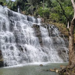 Tarzan Trail - Dededo