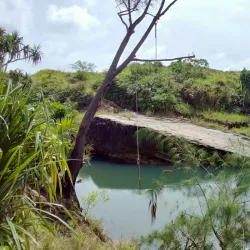 Tarzan Trail - Dededo