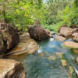 Tarzan Trail - Dededo