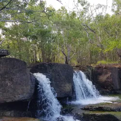 Tarzan Trail - Dededo