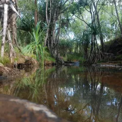 Tarzan Trail - Dededo