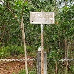 Tarzan Trail - Dededo
