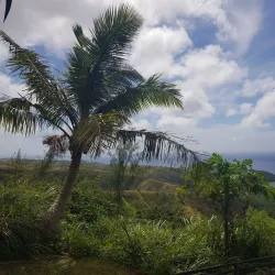 Cetti Bay Overlook - Santa Rita