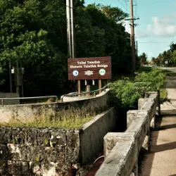 Taleyfac Spanish Bridge - Santa Rita