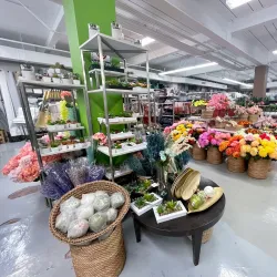 Agana Shopping Center - Sinajana