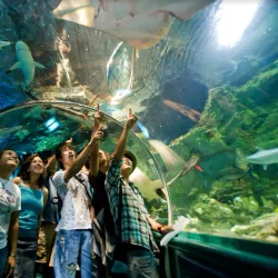 UnderWater World Guam - Tamuning