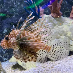 UnderWater World Guam - Tamuning