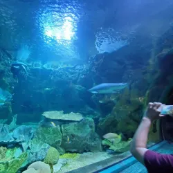 UnderWater World Guam - Tamuning