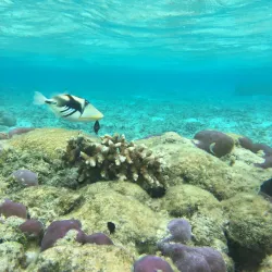 Ypao Beach Park - Tamuning