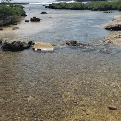 Inarajan Natural Pool - Yona