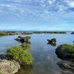 Inarajan Natural Pool - Yona