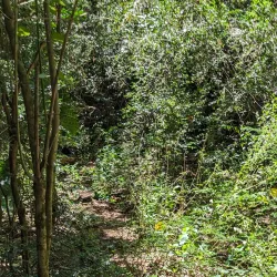 Talofofo Caves - Yona