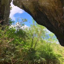 Talofofo Caves - Yona
