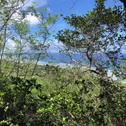 Talofofo Caves - Yona