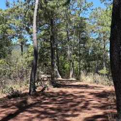 Pascual Abaj Shrine - Chichicastenango