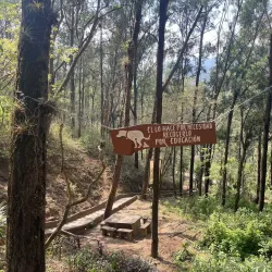 Cerro de la Cruz - Chimaltenango