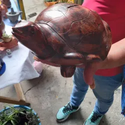 Chimaltenango Central Market - Chimaltenango