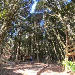 Reserva Natural La Tigra (Nearby) - Chiquimula