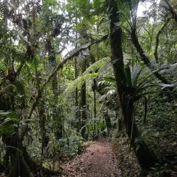 Biotopo del Quetzal - Coban (Cobán)