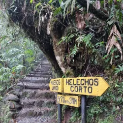 Biotopo del Quetzal - Coban (Cobán)