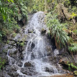 Biotopo del Quetzal - Coban (Cobán)
