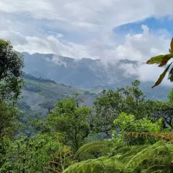 Biotopo del Quetzal - Coban (Cobán)