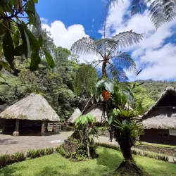 Biotopo del Quetzal - Coban (Cobán)