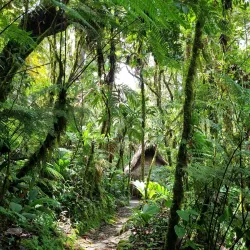 Biotopo del Quetzal - Coban (Cobán)