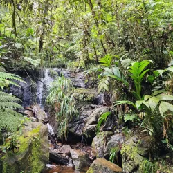 Biotopo del Quetzal - Coban (Cobán)