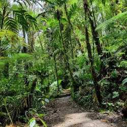 Biotopo del Quetzal - Coban (Cobán)