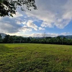 Coffee Plantations Tours - Coban (Cobán)