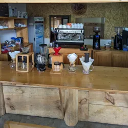 Coffee Plantations Tours - Coban (Cobán)