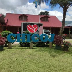 Coffee Plantations Tours - Coban (Cobán)