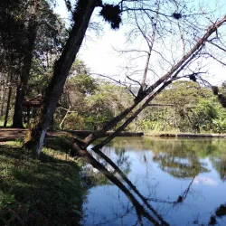 Coffee Plantations Tours - Coban (Cobán)