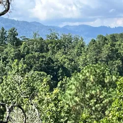 Orquigonia Orchid Garden - Coban (Cobán)