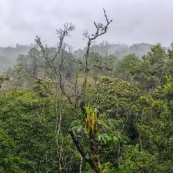 Orquigonia Orchid Garden - Coban (Cobán)