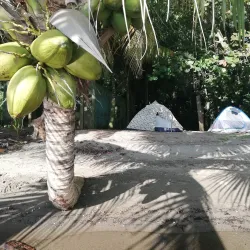 Punta de Manabique Ecological Reserve - Coban (Cobán)