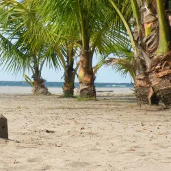 Punta de Manabique Ecological Reserve - Coban (Cobán)