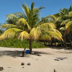 Punta de Manabique Ecological Reserve - Coban (Cobán)