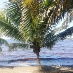 Punta de Manabique Ecological Reserve - Coban (Cobán)