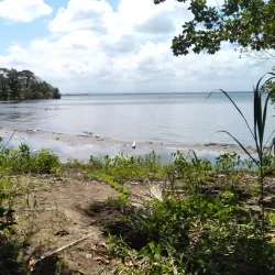 Punta de Manabique Ecological Reserve - Coban (Cobán)