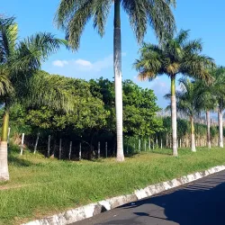 Escuintla City Central Park - Escuintla