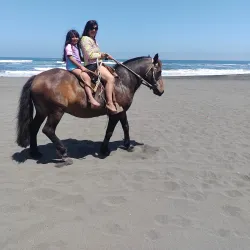 Monterrico Beach - Escuintla