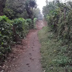 Volcán de Fuego - Escuintla